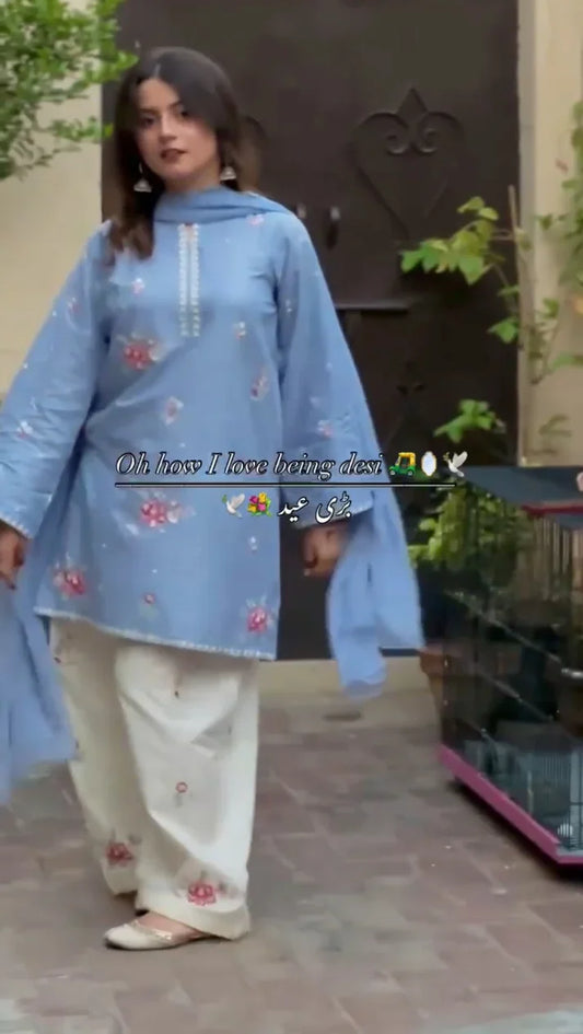 Duppta Farsi suit